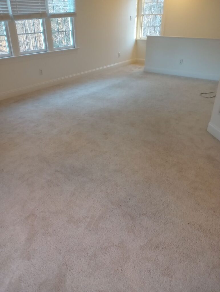 Empty room with beige carpet and windows showing trees outside